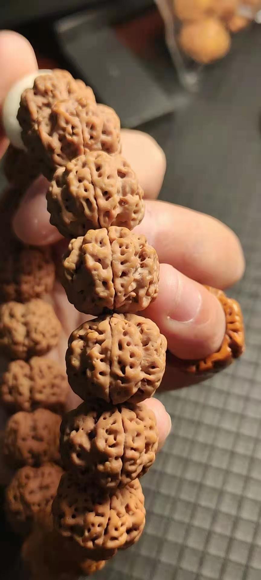正宗金刚菩提几瓣的好价格表。