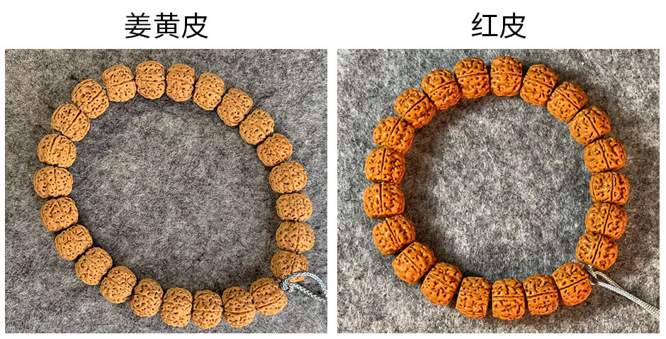 大金刚菩提黄皮