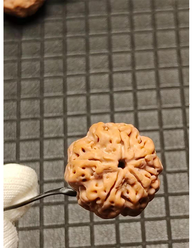 五瓣大金刚