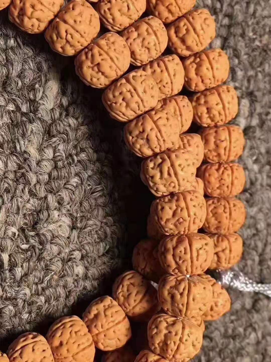 小金刚怎样挑选什么样的小金刚好？
