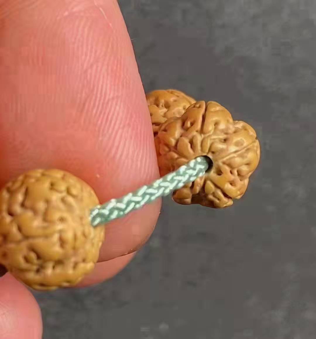 小金刚菩提可以上大宝吗