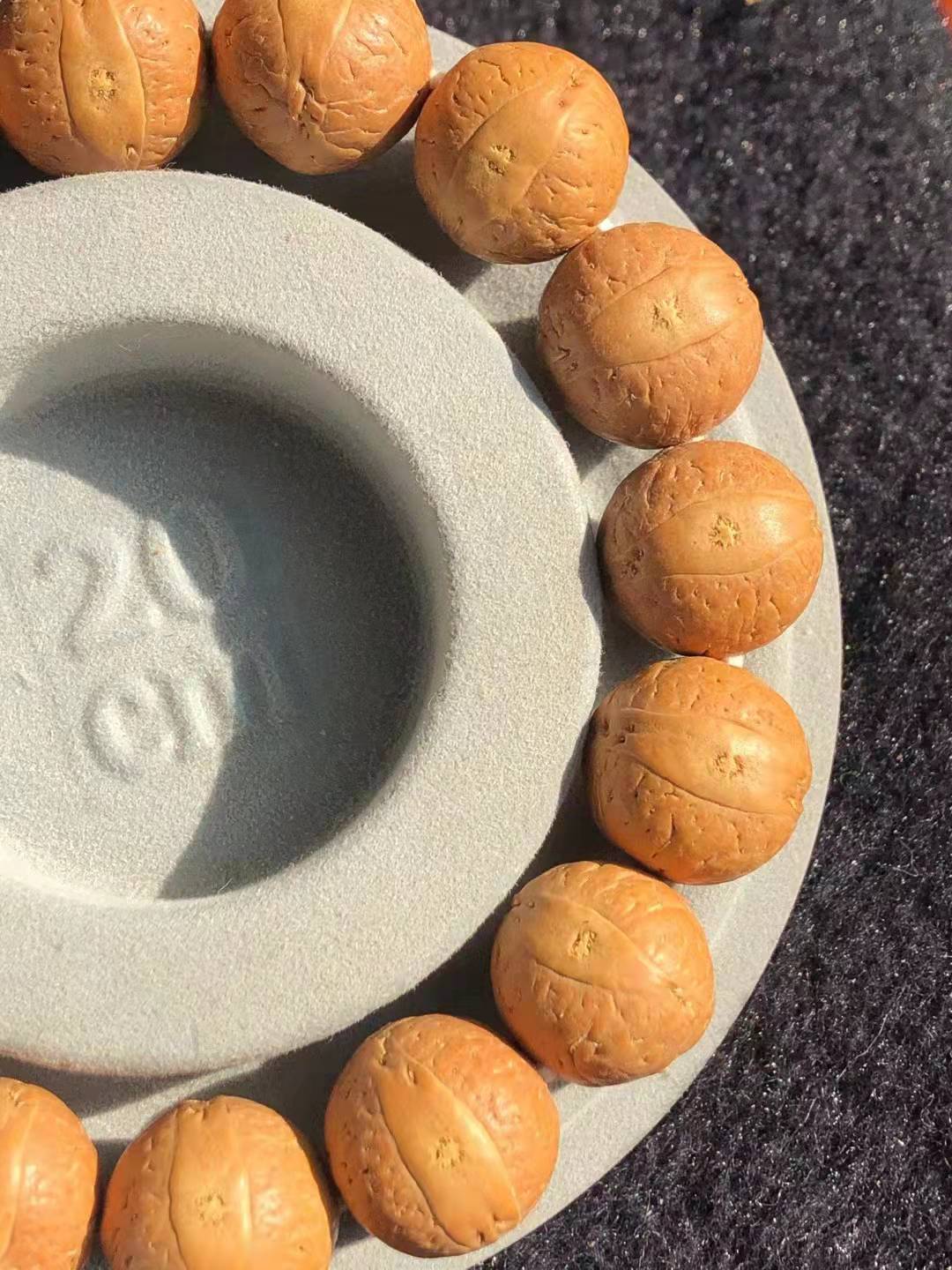 凤眼菩提树王籽