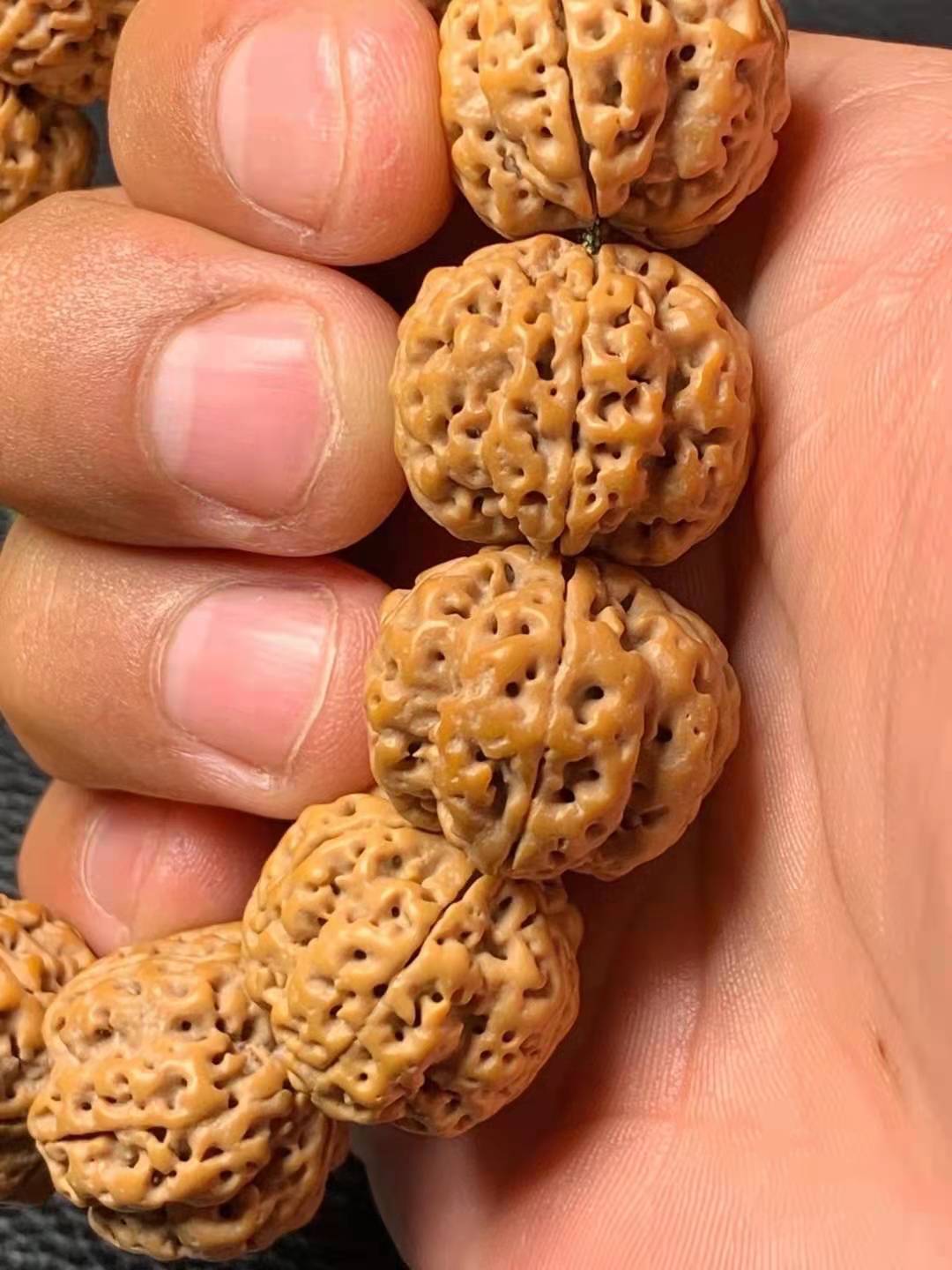 原生态大金刚菩提