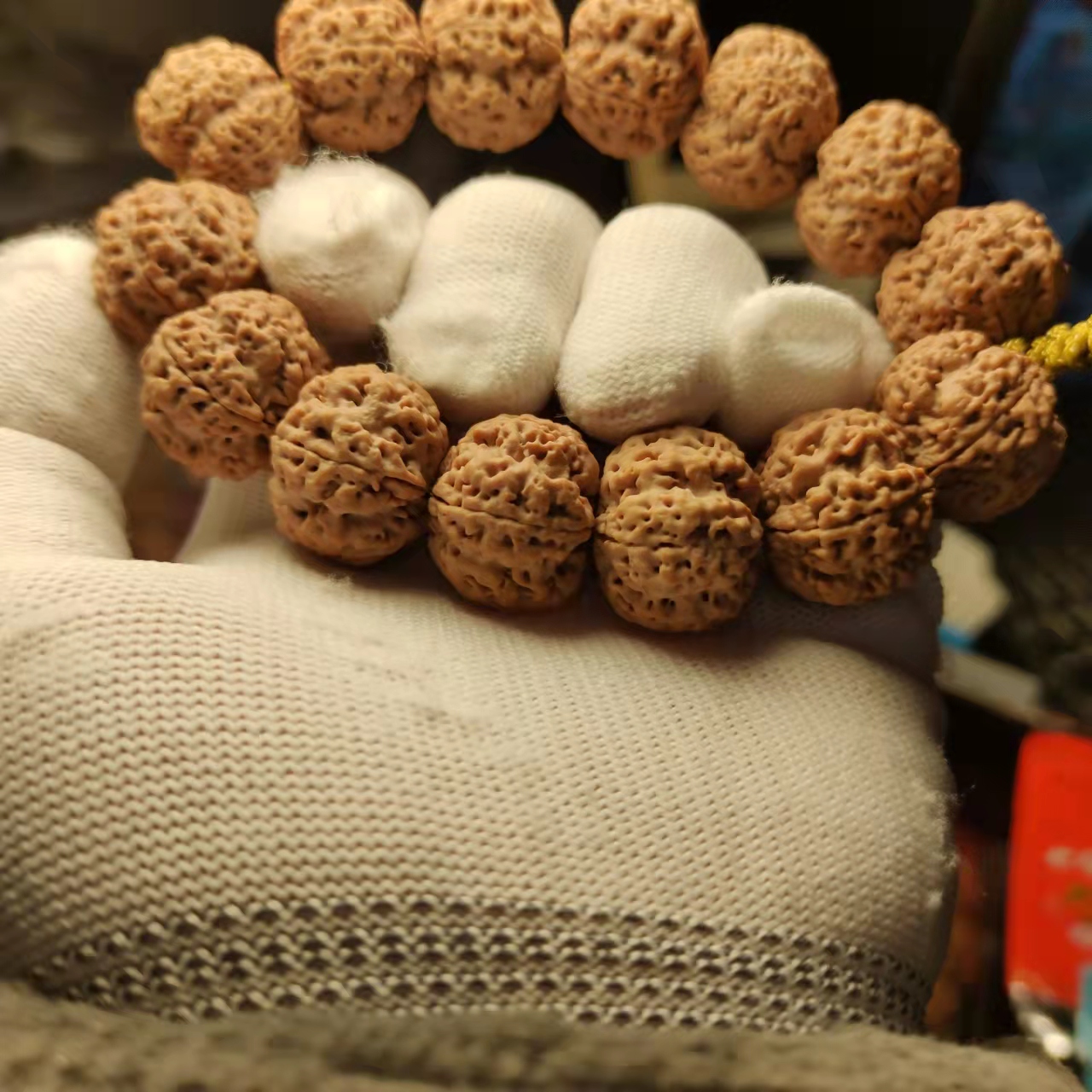 大金刚菩提为什么感觉都长一样，怎么会有的贵有的便宜呢！